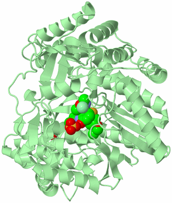 Image Biological Unit 2