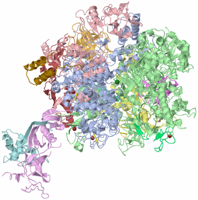 Image Biological Unit 1