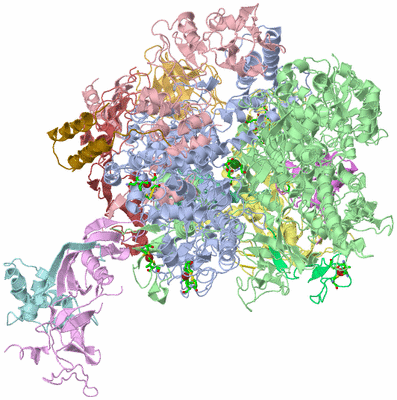 Image Biol. Unit 1 - sites