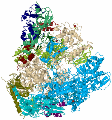 Image Biological Unit 2