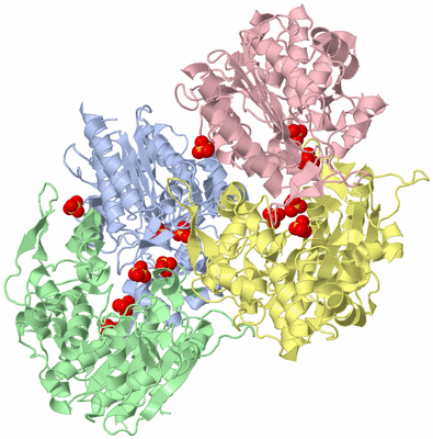 Image Asymmetric Unit