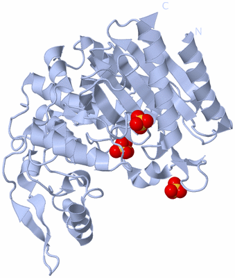 Image Biological Unit 1
