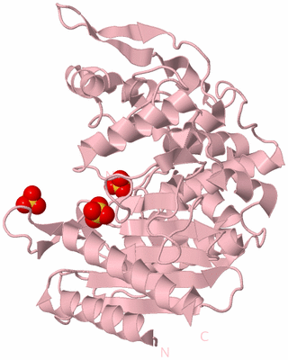 Image Biological Unit 3
