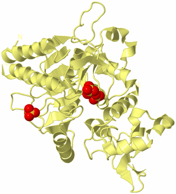 Image Biological Unit 4