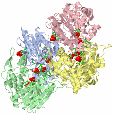 Image Asym. Unit - sites