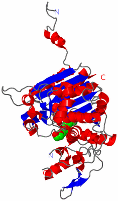 Image Asym./Biol. Unit