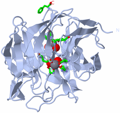 Image Biol. Unit 1 - sites