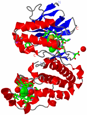 Image Asym./Biol. Unit - sites