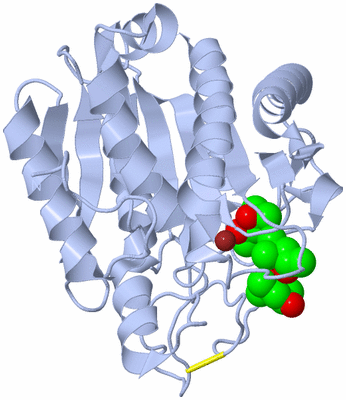 Image Biological Unit 1