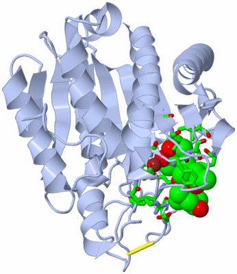 Image Biol. Unit 1 - sites