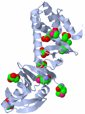 Image Biological Unit 1