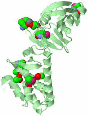 Image Biological Unit 2