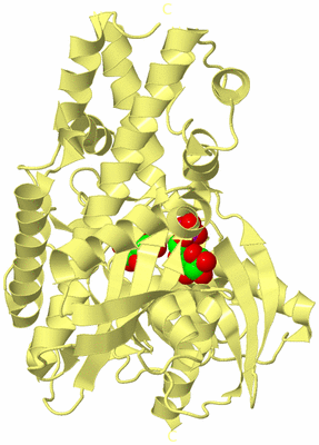 Image Biological Unit 4