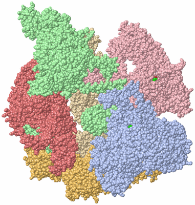 Image Asym./Biol. Unit