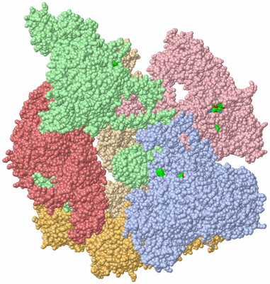 Image Asym./Biol. Unit - sites