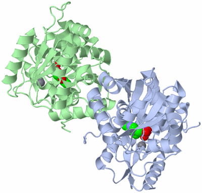 Image Asym./Biol. Unit