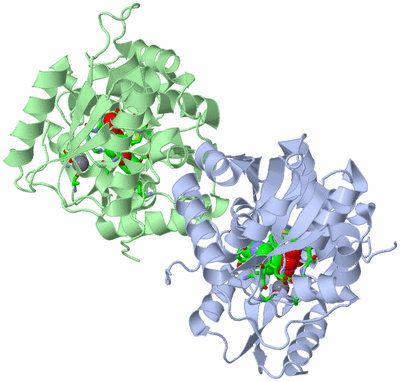 Image Asym./Biol. Unit - sites