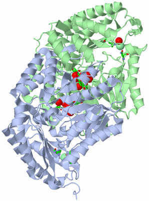 Image Asym./Biol. Unit - sites