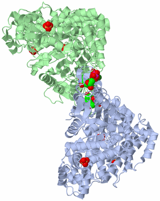 Image Asym./Biol. Unit