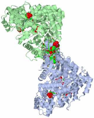 Image Asym./Biol. Unit - sites