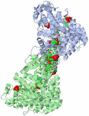 Image Asym./Biol. Unit - sites