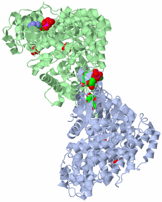 Image Asym./Biol. Unit