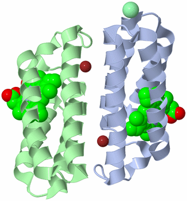 Image Biological Unit 1