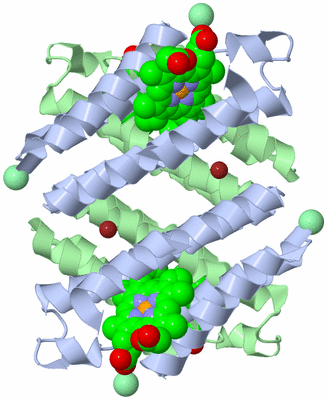 Image Biological Unit 2