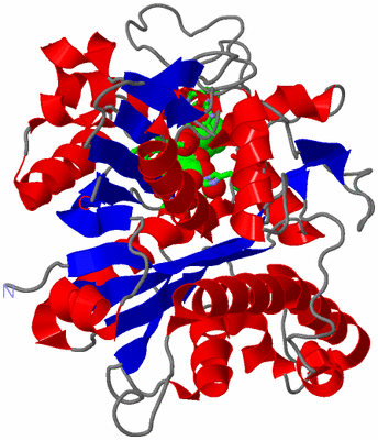 Image Asym. Unit - sites