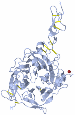 Image Biological Unit 1