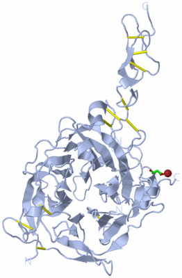 Image Biol. Unit 1 - sites