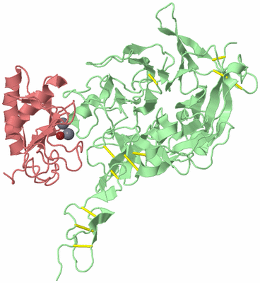 Image Biological Unit 2