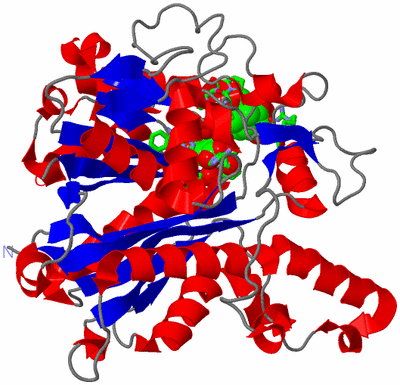 Image Asym. Unit - sites