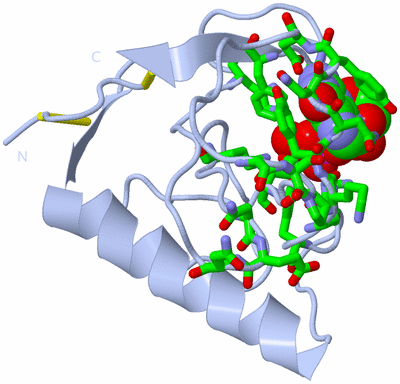 Image Biol. Unit 1 - sites