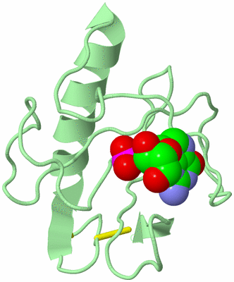 Image Biological Unit 2