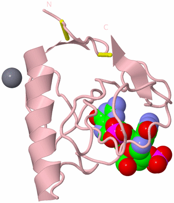 Image Biological Unit 3