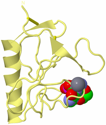 Image Biological Unit 4