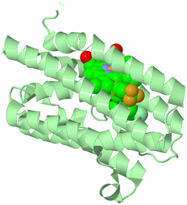 Image Biological Unit 2