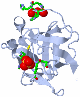 Image Biol. Unit 1 - sites