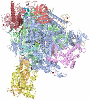 Image Biological Unit 1