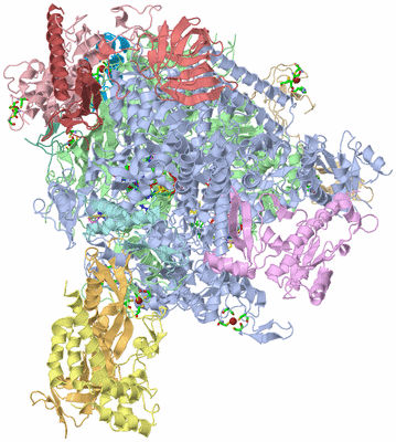 Image Biol. Unit 1 - sites