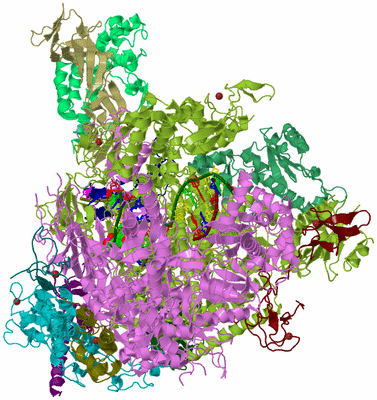 Image Biological Unit 2