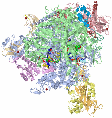 Image Asym./Biol. Unit