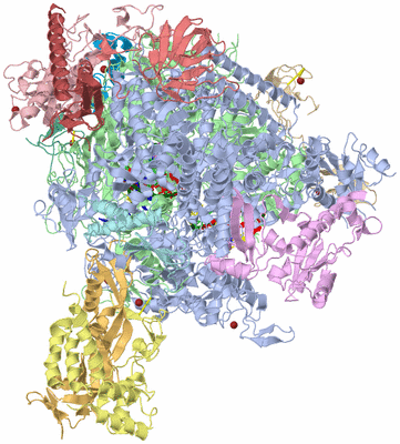 Image Asym./Biol. Unit