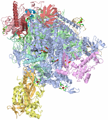 Image Asym./Biol. Unit - sites