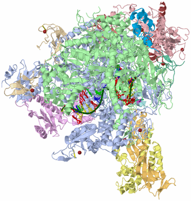 Image Asym./Biol. Unit