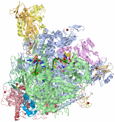 Image Asym./Biol. Unit