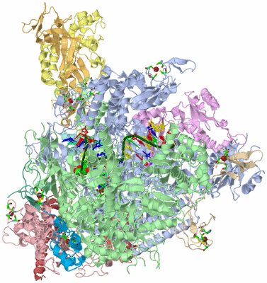 Image Asym./Biol. Unit - sites