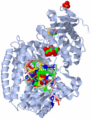 Image Biological Unit 1