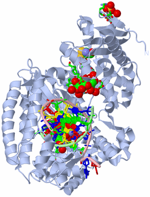 Image Biol. Unit 1 - sites